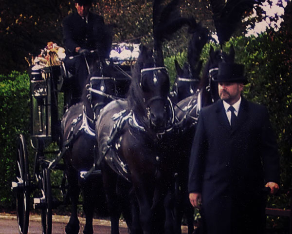 horse drawn funeral hastings east sussex